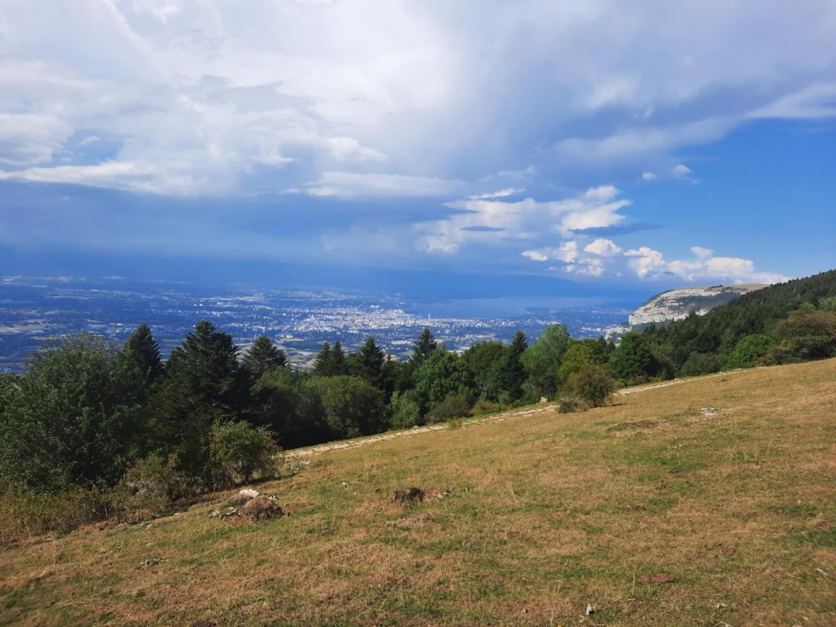 The Originals City, Hotel Rey Du Mont Sion, Saint-Julien-En-Genevois Sud Bagian luar foto
