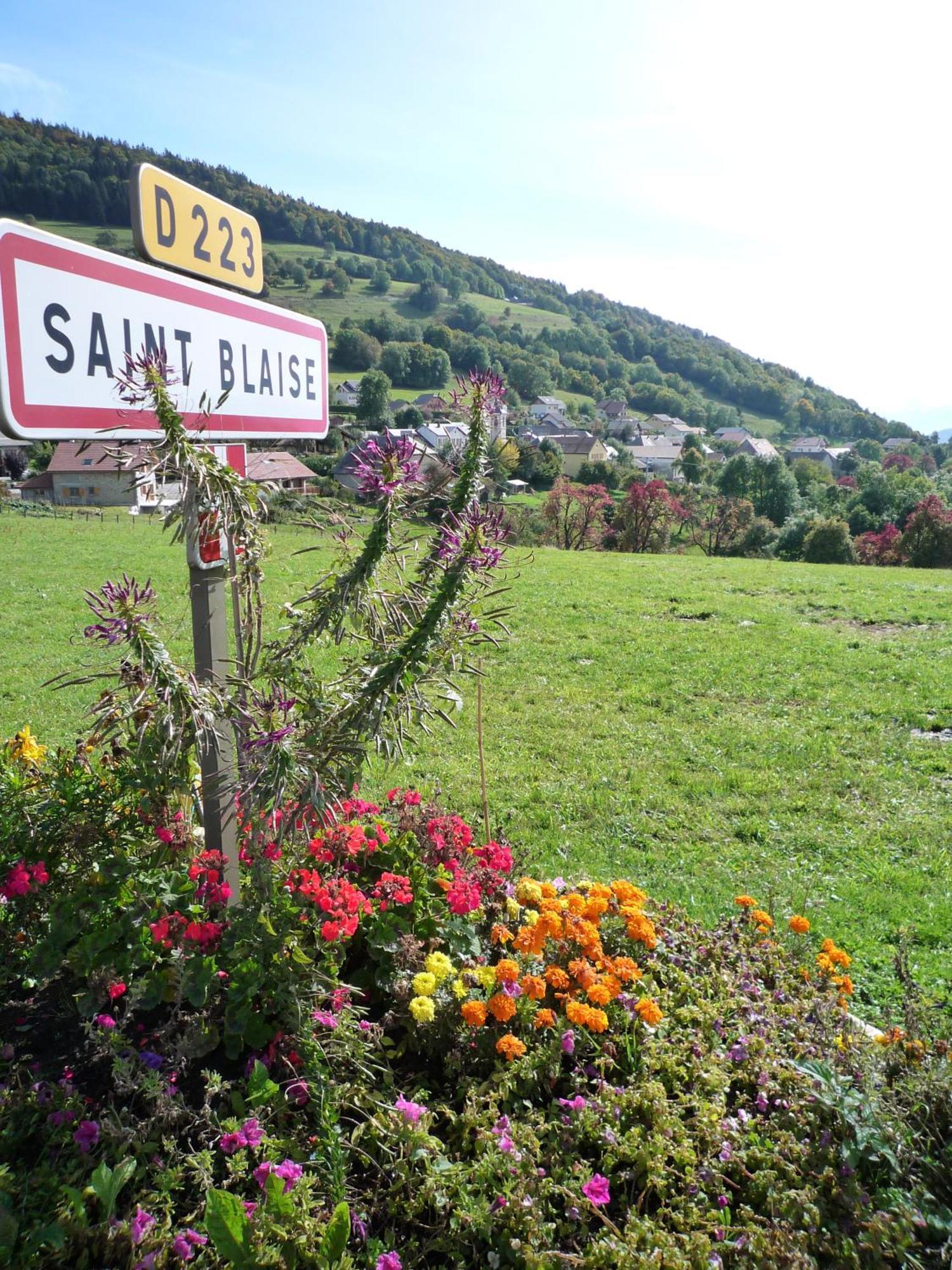 The Originals City, Hotel Rey Du Mont Sion, Saint-Julien-En-Genevois Sud Bagian luar foto